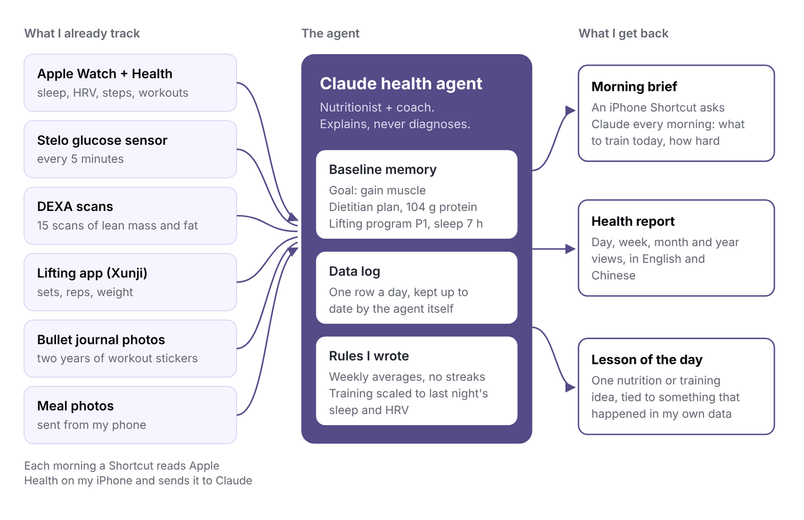 How the health agent connects my data sources to a morning brief, a health report and a daily lesson